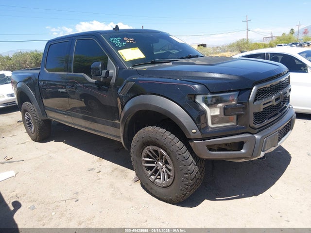 2019 FORD F-150 RAPTOR — фото 1