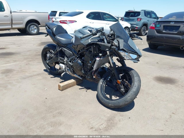 2024 KAWASAKI EX650 P