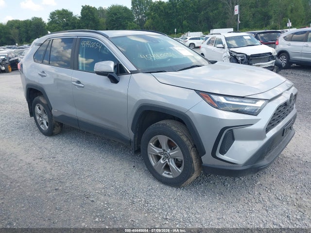 2025 TOYOTA RAV4 XLE/WOODLAND EDITION