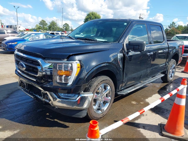 2023 FORD F-150 XLT 照片 2