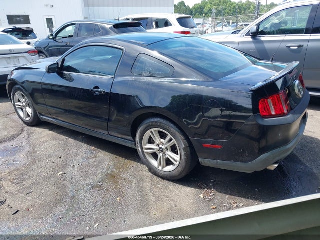 2011 FORD MUSTANG V6/V6 PREMIUM 照片 3