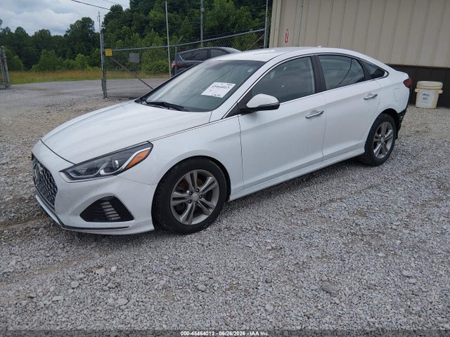 2019 Hyundai SONATA SEL — фото 2