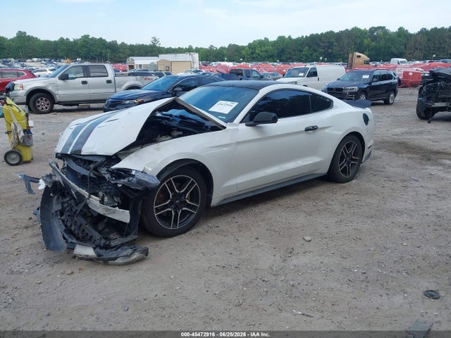 2019 FORD MUSTANG 照片 2