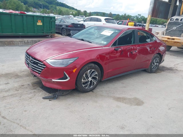 2023 Hyundai SONATA HYBRID BLUE 照片 2