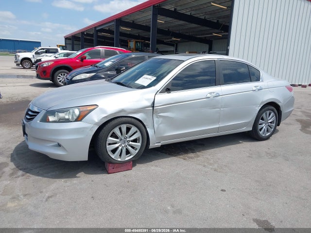 2011 Honda ACCORD 3.5 EX-L 照片 6