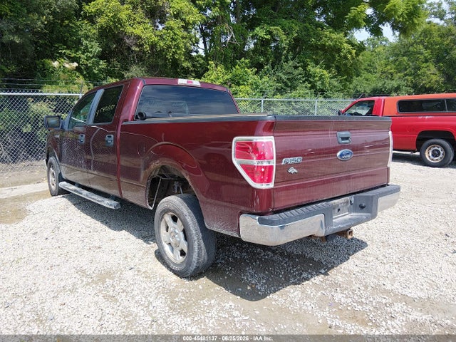 2009 FORD F-150 XLT photo 3