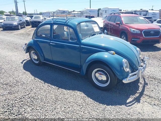 1966 VOLKSWAGEN BEETLE 