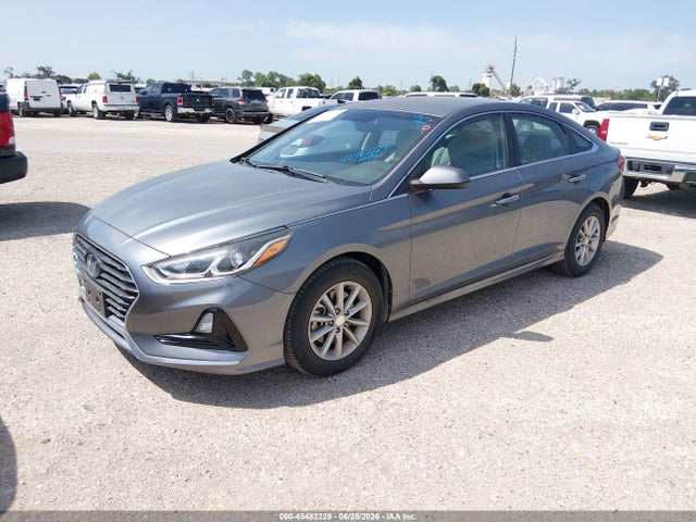 2019 Hyundai SONATA ECO — фото 2