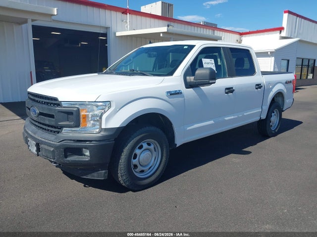 2020 FORD F-150 XL/XLT — фото 2
