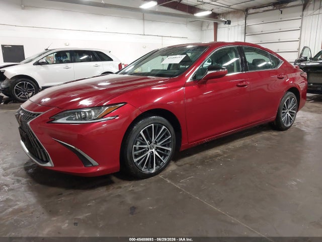 2024 Lexus ES 300H 照片 2