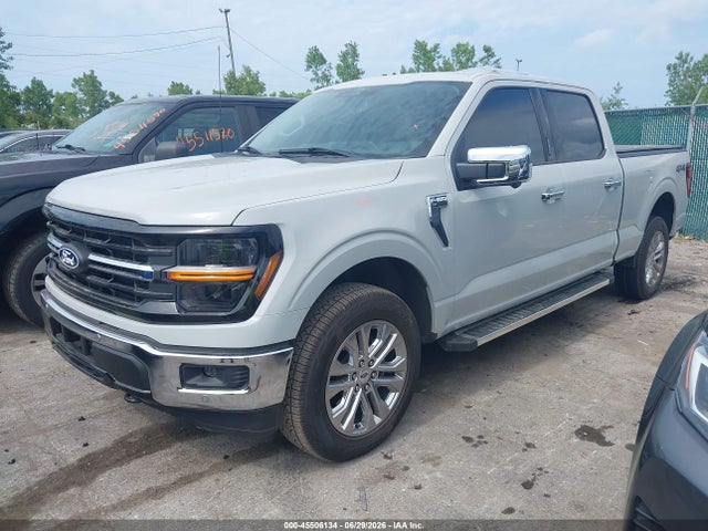 2024 FORD F-150 XLT 照片 2