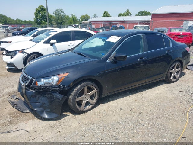 2010 Honda ACCORD 照片 2
