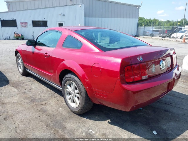 صورة 3 لـ 2006 FORD MUSTANG V6