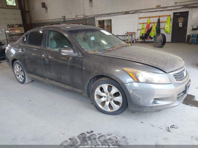 2010 HONDA ACCORD 3.5 EX-L