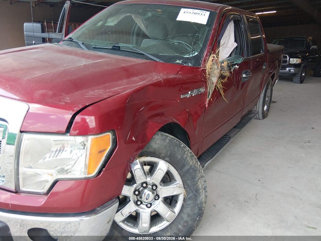 2013 FORD F-150 XLT 照片 6