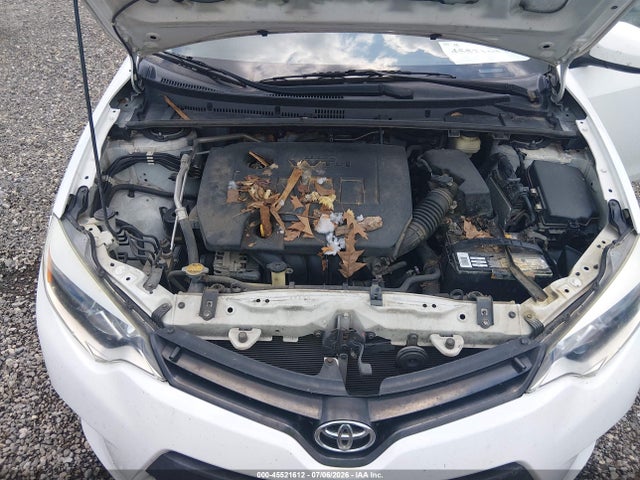2016 Toyota COROLLA L 照片 10