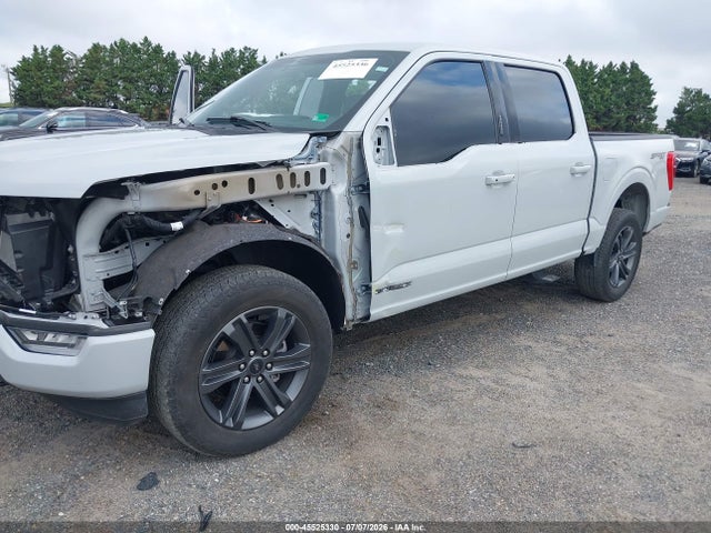 2023 FORD F-150 XLT 照片 2