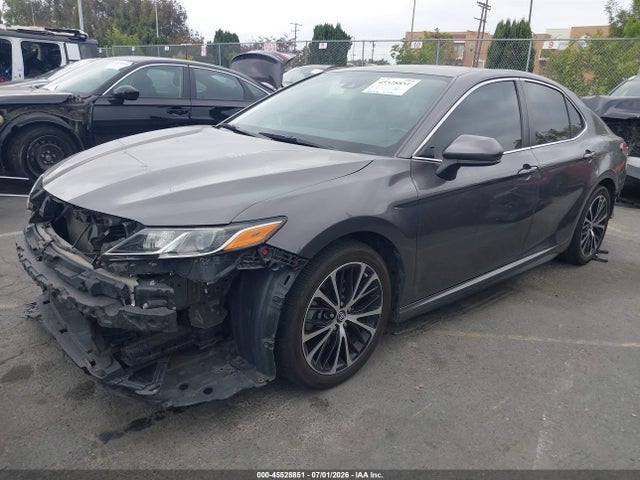 2019 Toyota CAMRY SE 照片 2