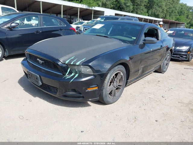 2014 FORD MUSTANG V6/V6 PREMIUM 照片 2
