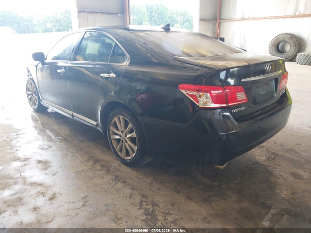 2010 Lexus ES 350 photo 3