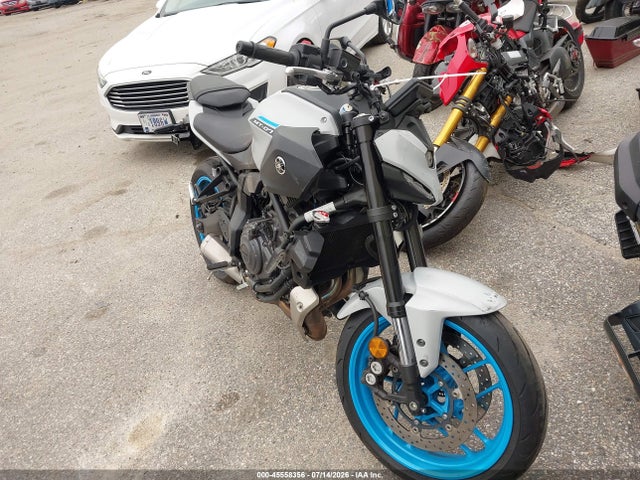2025 YAMAHA MTN690 