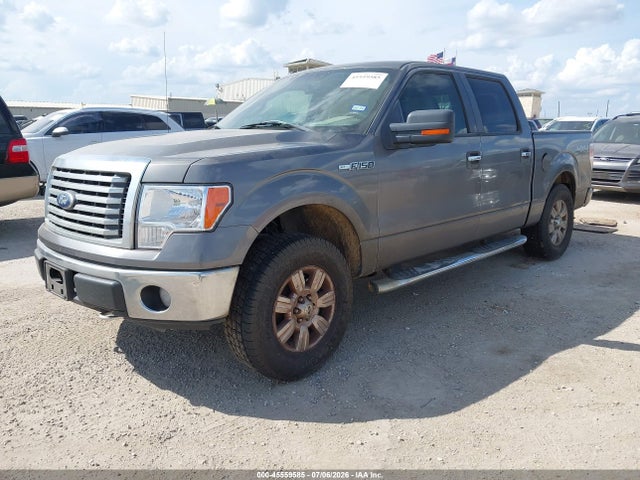 2010 FORD F-150 XL/XLT — фото 2