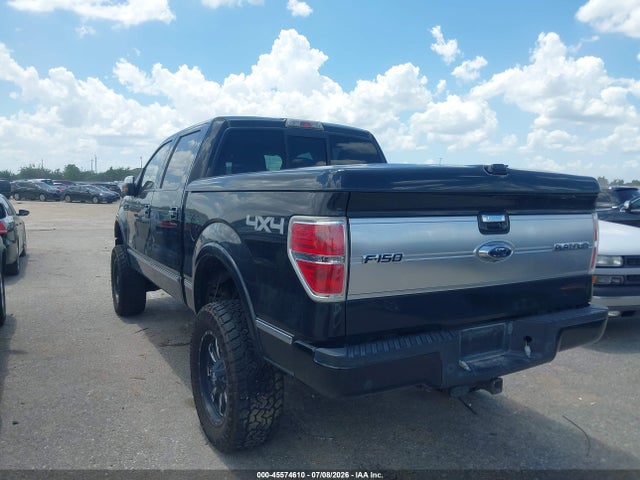 2013 FORD F-150 PLATINUM photo 3