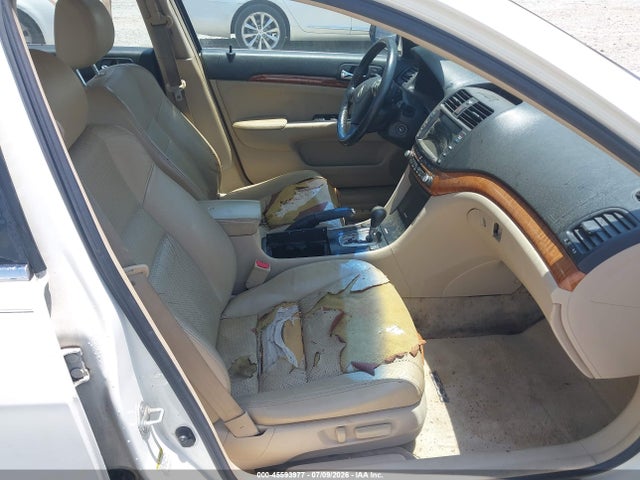 2007 Acura TSX 照片 5