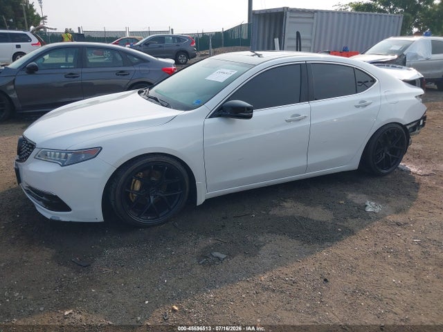 2015 Acura TLX V6 TECH 照片 2