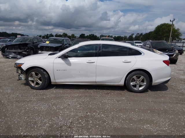 صورة 14 لـ 2019 Chevrolet MALIBU 1LS