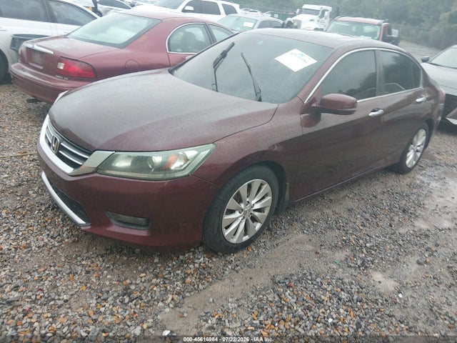 2015 Honda ACCORD EX-L 照片 2
