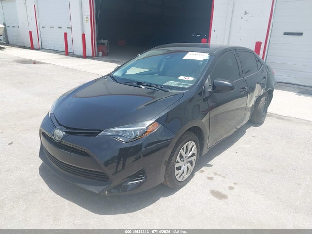 2019 Toyota COROLLA LE 照片 2
