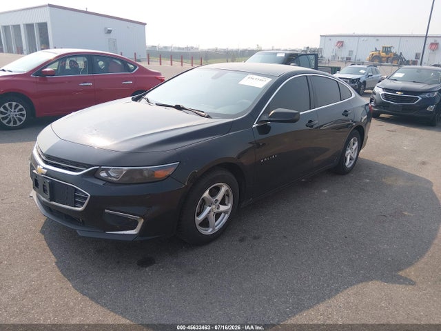 2016 Chevrolet MALIBU LS 照片 2