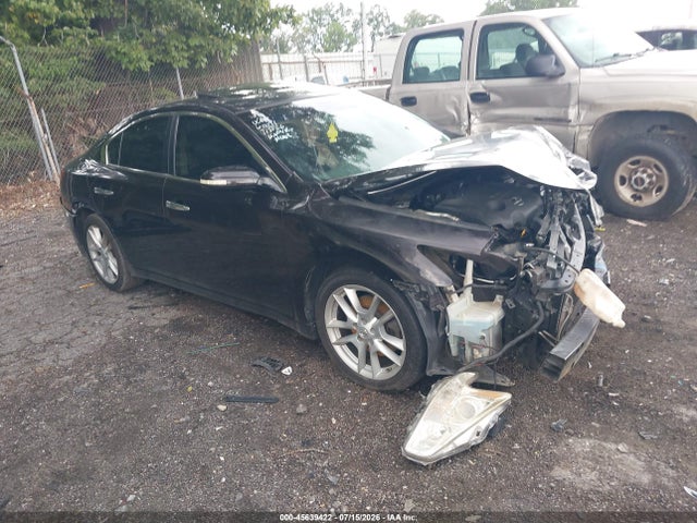2010 NISSAN MAXIMA 3.5 SV