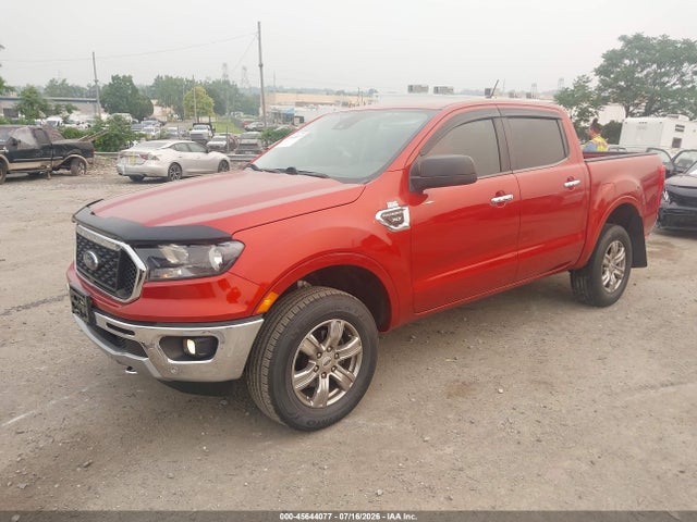 2019 FORD RANGER XLT — фото 2
