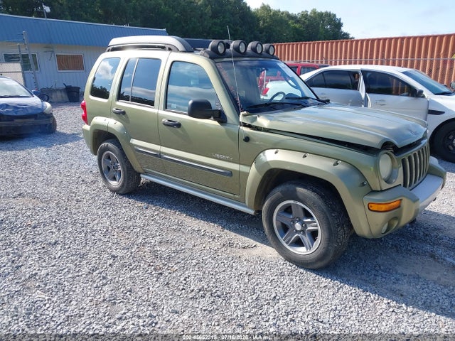 2004 JEEP LIBERTY RENEGADE