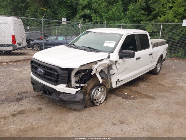 صورة 2 لـ 2023 FORD F-150 XL