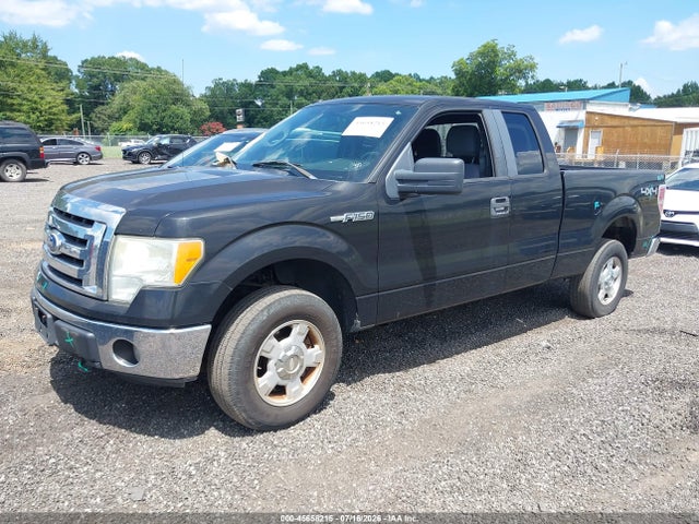 2011 FORD F-150 XLT — фото 2