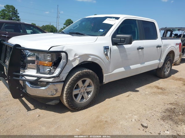 2023 FORD F-150 XLT 照片 2