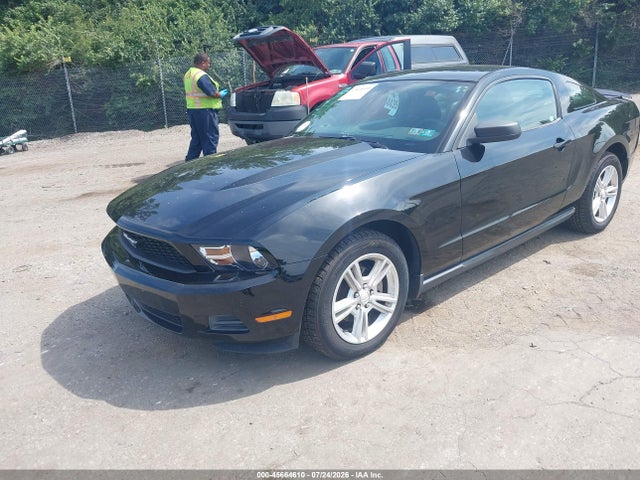 2010 FORD MUSTANG V6/V6 PREMIUM — фото 2