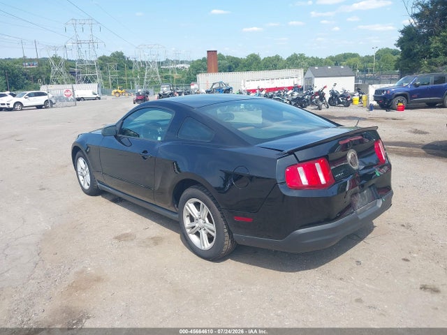 2010 FORD MUSTANG V6/V6 PREMIUM — фото 3