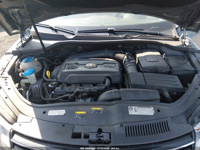 2015 Volkswagen EOS EXECUTIVE EDITION 照片 10