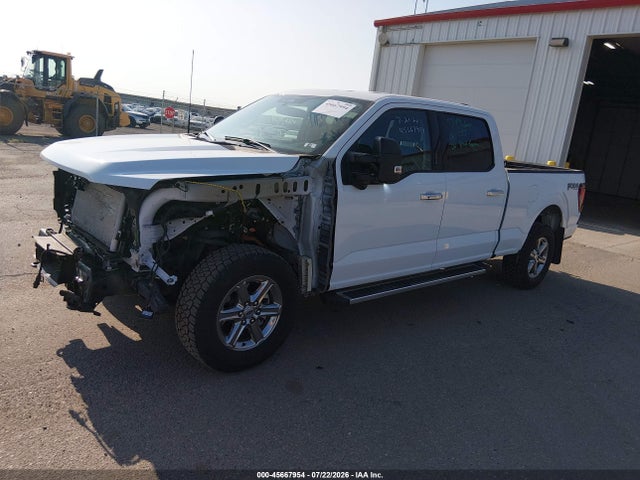 2024 FORD F-150 XLT 照片 2