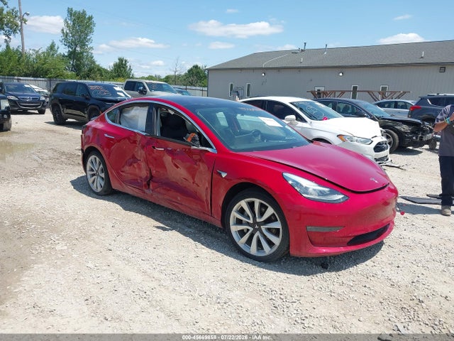 2019 TESLA MOD LONG RANGE/MID RANGE/STANDARD RANGE/STANDARD RANGE PLUS