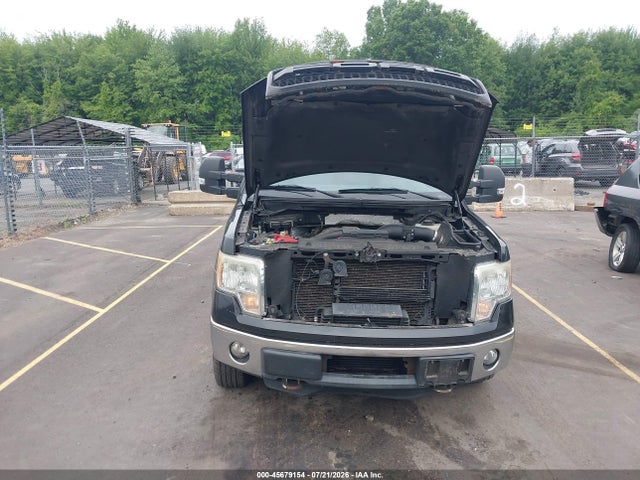 2012 FORD F-150 XLT photo 10