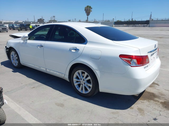 2010 Lexus ES 350 照片 3
