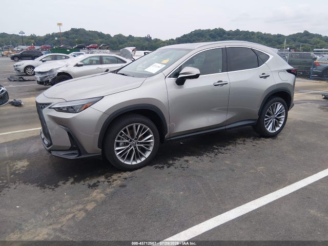 2025 LEXUS NX 350 PREMIUM 2