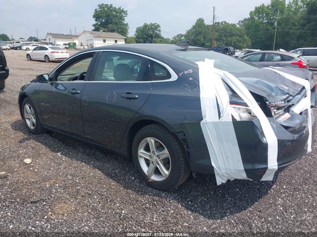 2019 Chevrolet MALIBU 1LS 照片 3