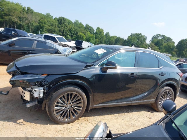 2025 LEXUS RX 350 LUXURY 14