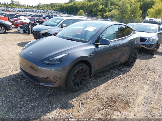 2023 TESLA MODEL Y RWD 2